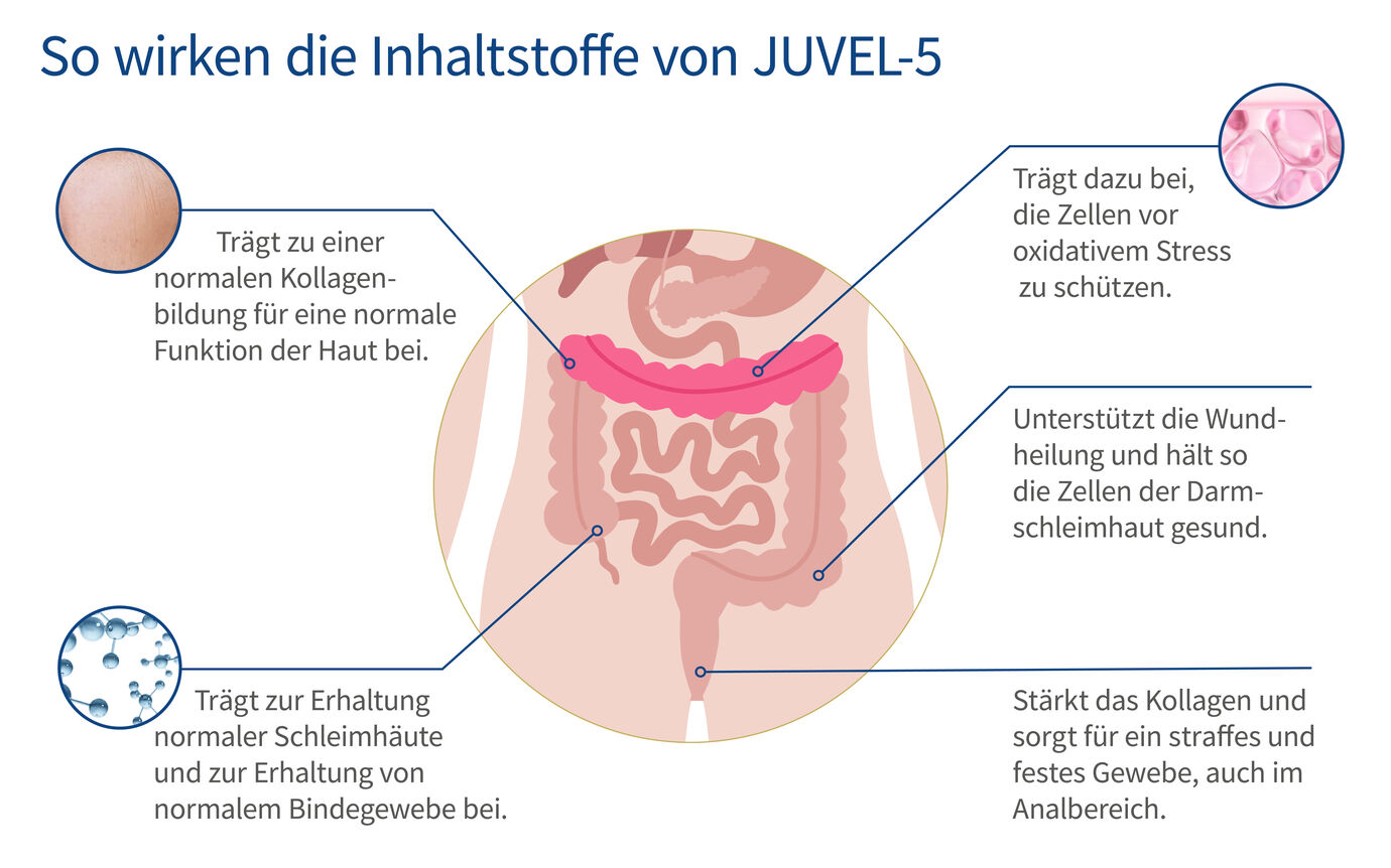 Schaubild mit den Inhaltsstoffen und der Wirkweise von JUVEL-5 pro balance