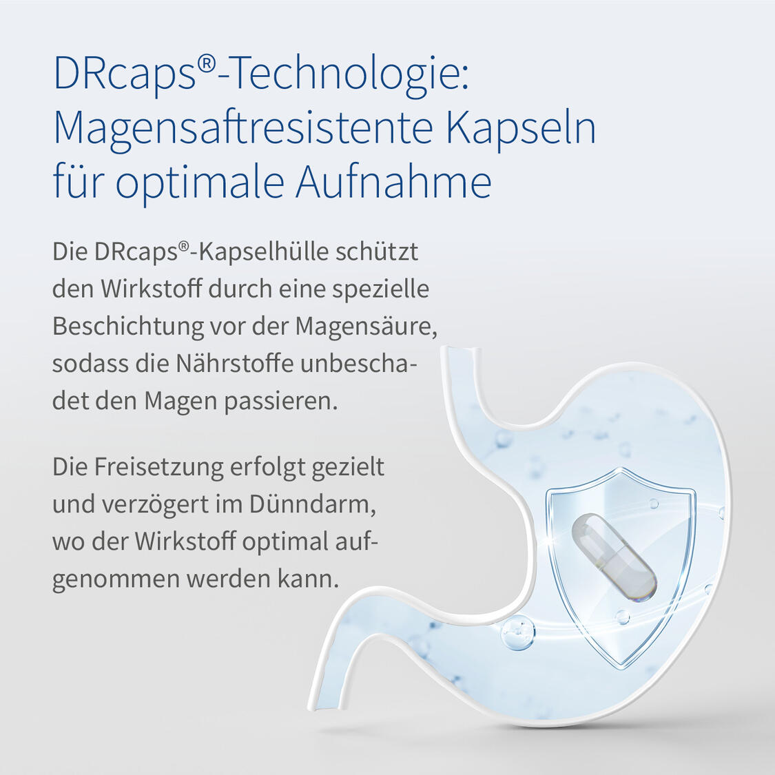 JUVEL-5 magnesium Produktbild 4