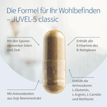 JUVEL-5 classic Vorschaubild 3