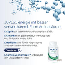 JUVEL-5 energie Vorschaubild 4