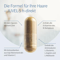 JUVEL-5 h-direkt Vorschaubild 3