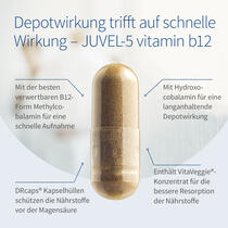 JUVEL-5 vitamin b12 Vorschaubild 3
