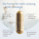 JUVEL-5 énergie